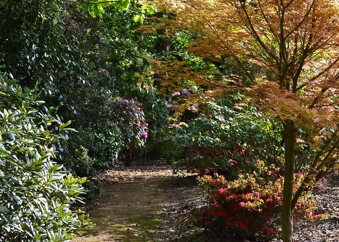 Top Hotels in Storrington Sussex