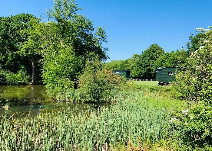 Best Hotels in Charlwood for a Delightful Stay