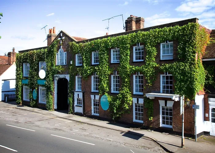 Hotels near East Horsley: Your Guide to the Best Accommodations in the Area