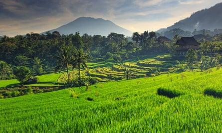 Indonesia beginners’ guide: Bali, Lombok, Java and Flores 
